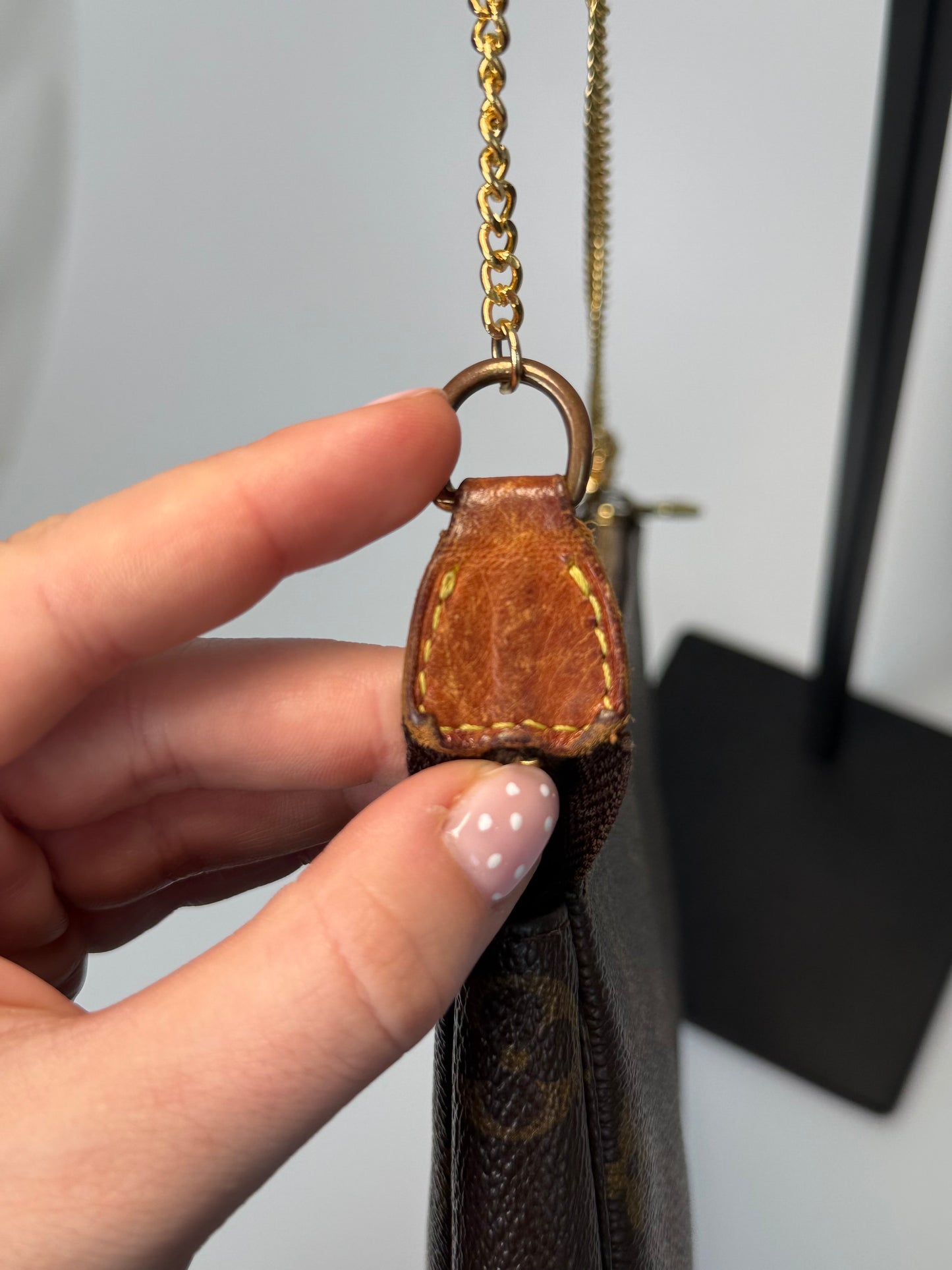 Louis Vuitton Pochette Accessoires