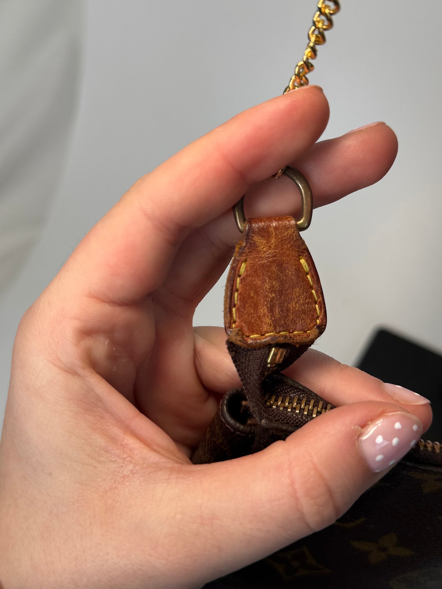 Louis Vuitton Pochette Accessoires