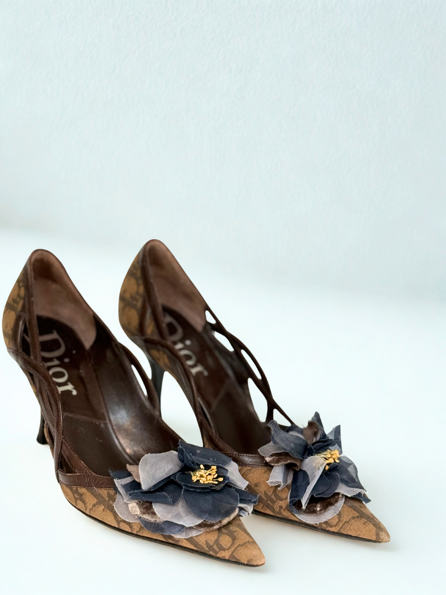 Dior 2004 Vintage Diorissimo Pointed-Toe Heels with Floral Appliqué – Brown, Size 36