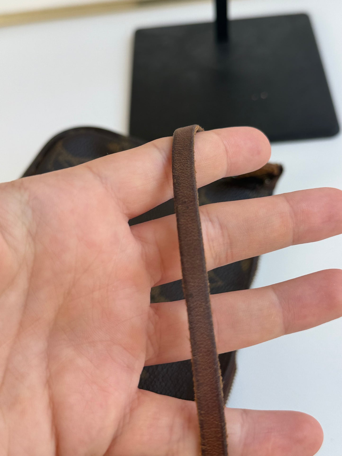 Louis Vuitton Pochette Accessoires Monogram