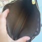 Louis Vuitton Pochette Accessoires Monogram