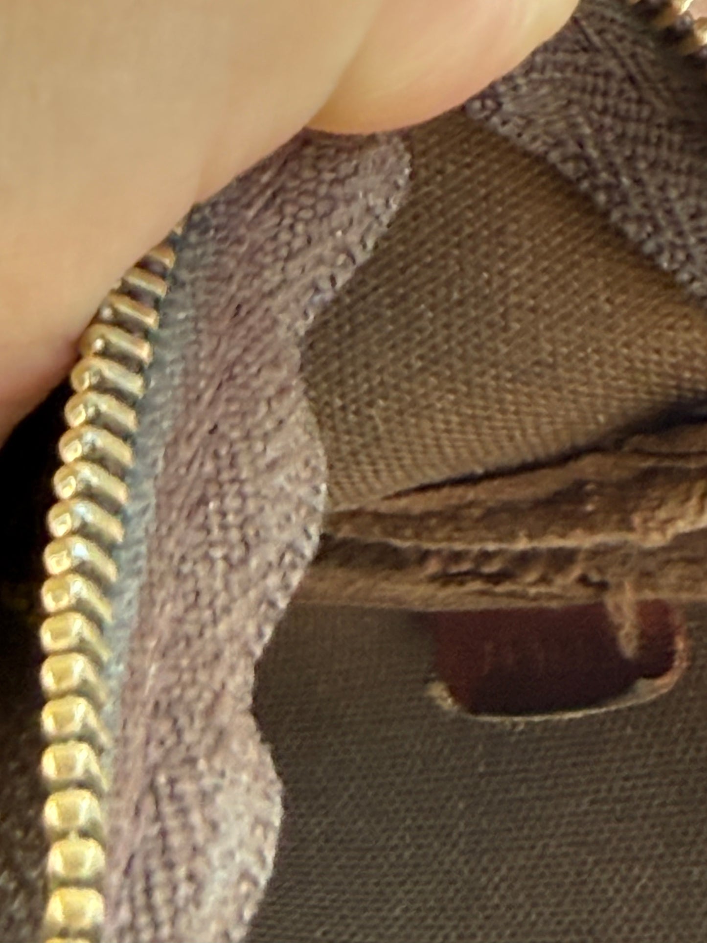 Louis Vuitton Pochette Accessoires Monogram