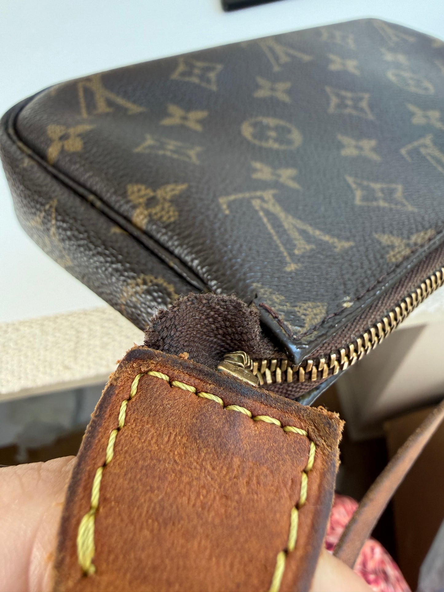 Louis Vuitton Pochette Accessoires Monogram
